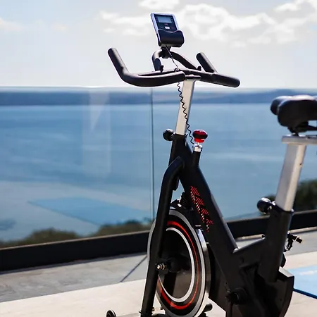 Shark * 马斯莱尼察