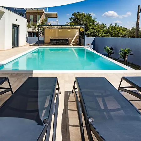 Shark 马斯莱尼察