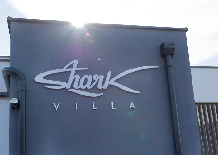 Shark *