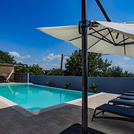 Shark Villa Maslenica