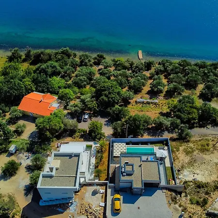 Shark Villa Maslenica