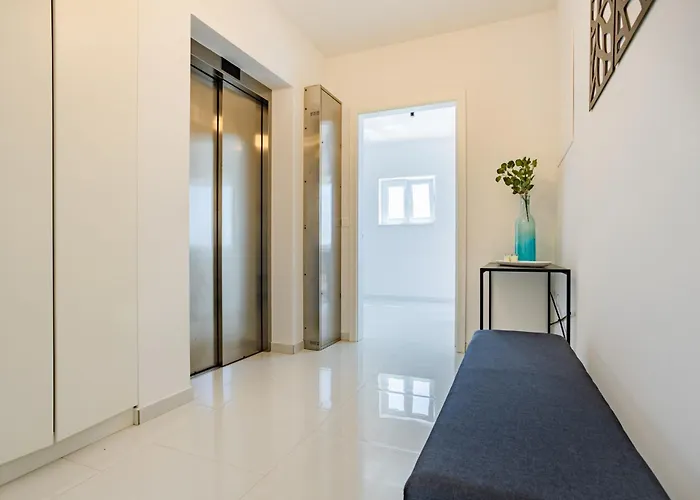 Shark ماسلينتسا