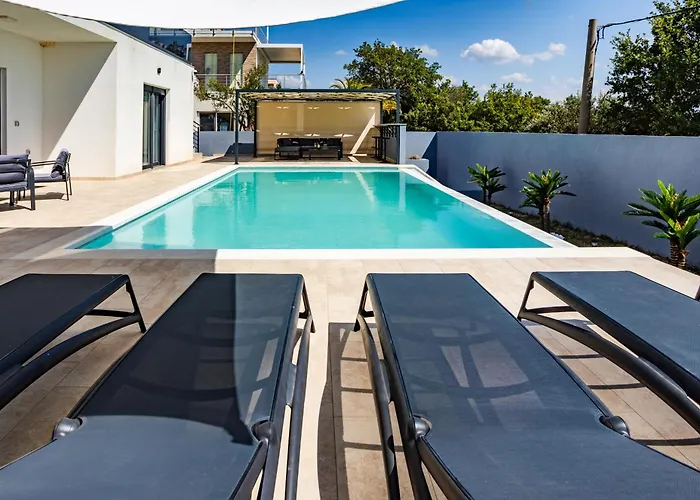 Shark ماسلينتسا